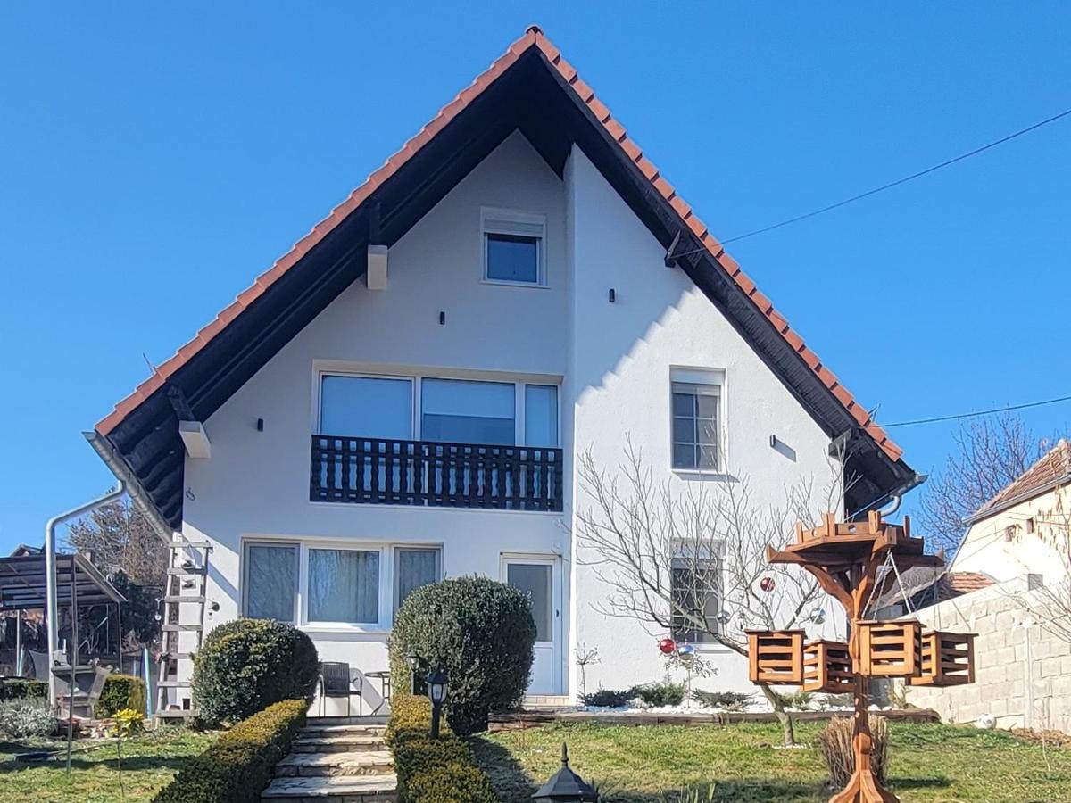 Vila Jovana Vrdnik Luaran gambar