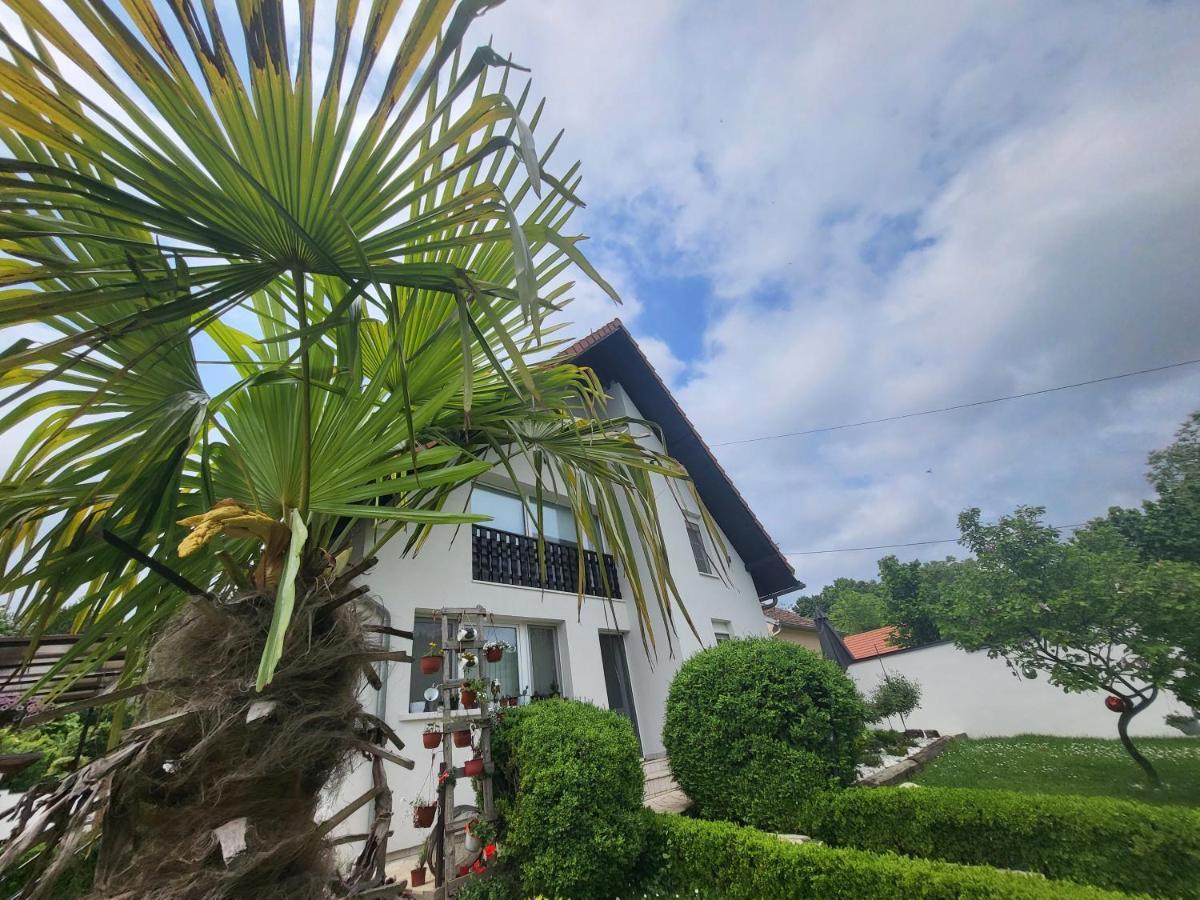 Vila Jovana Vrdnik Luaran gambar