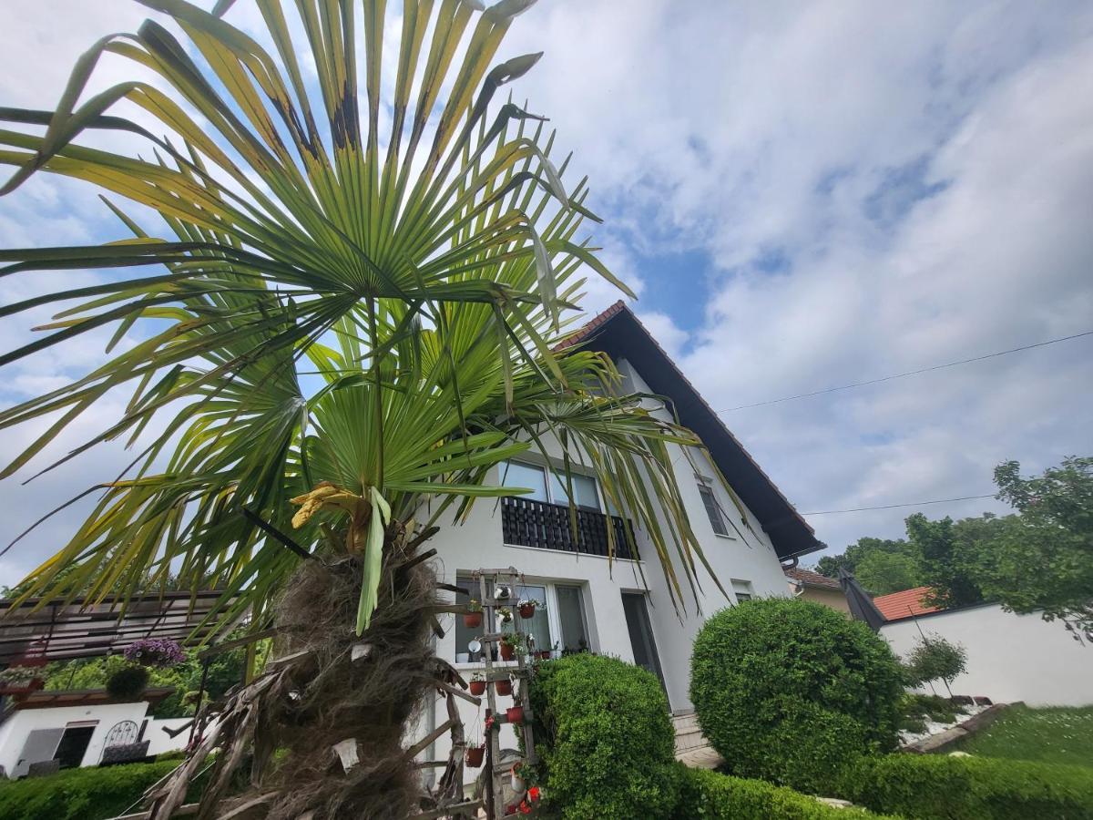 Vila Jovana Vrdnik Luaran gambar