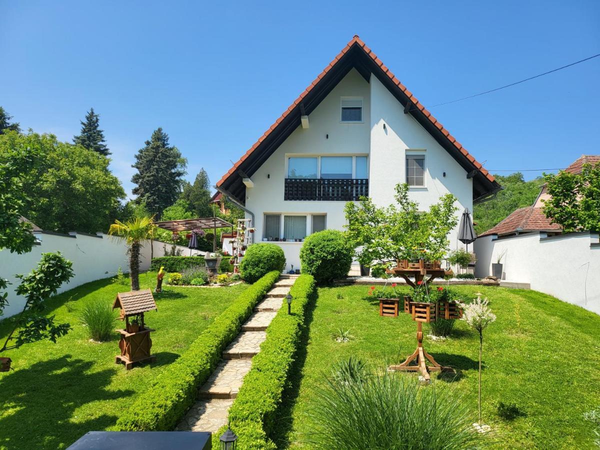 Vila Jovana Vrdnik Luaran gambar
