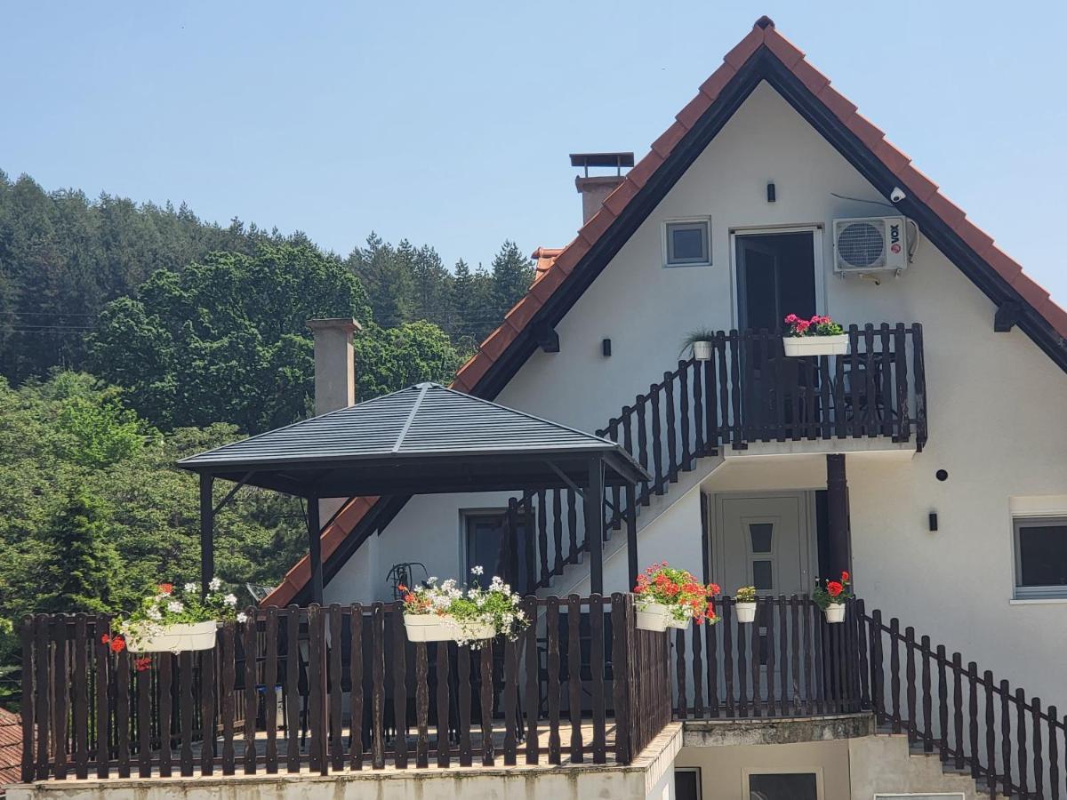 Vila Jovana Vrdnik Luaran gambar