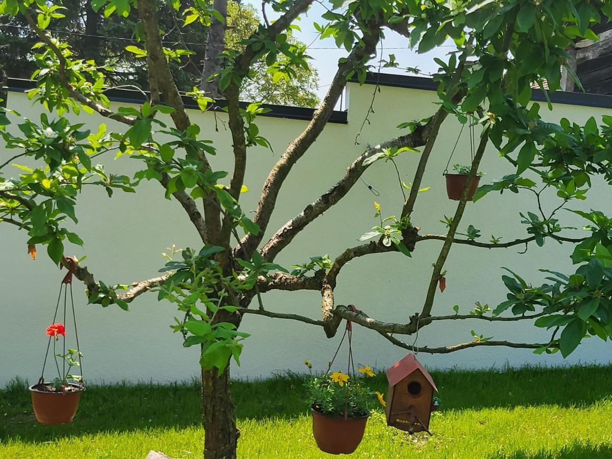 Vila Jovana Vrdnik Luaran gambar