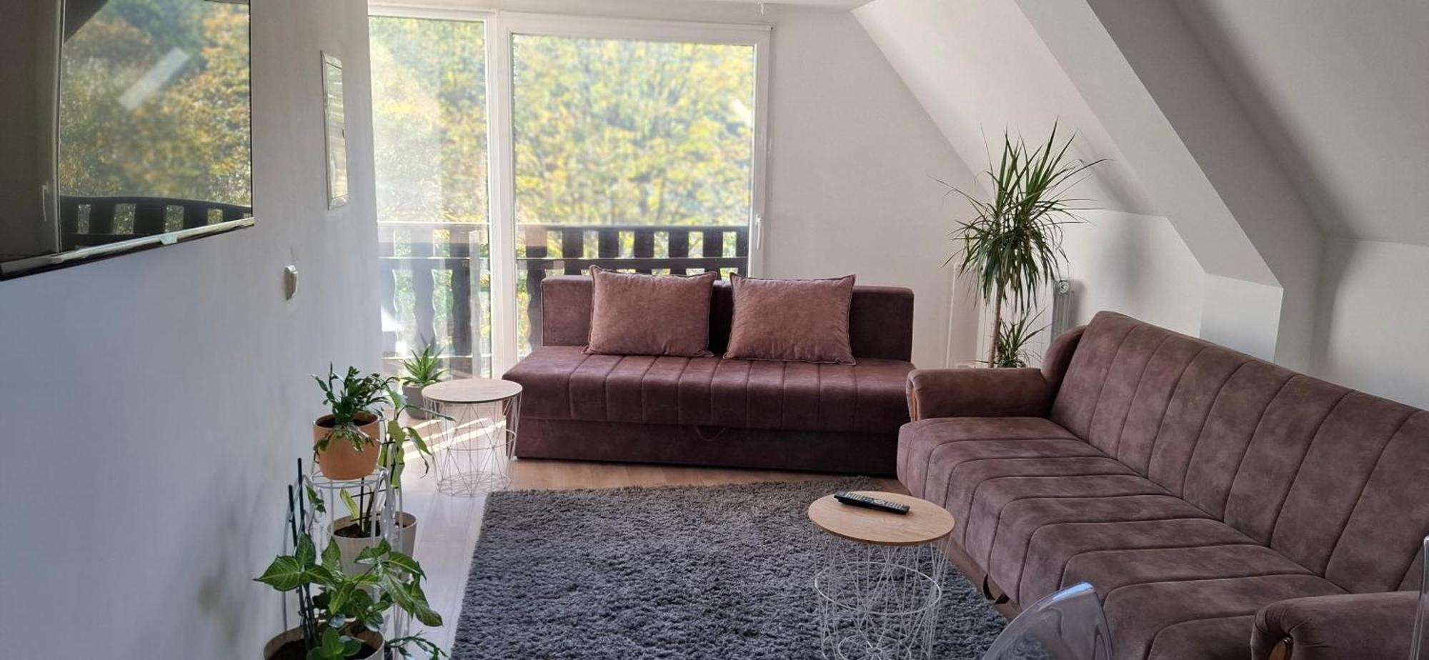 Vila Jovana Vrdnik Luaran gambar