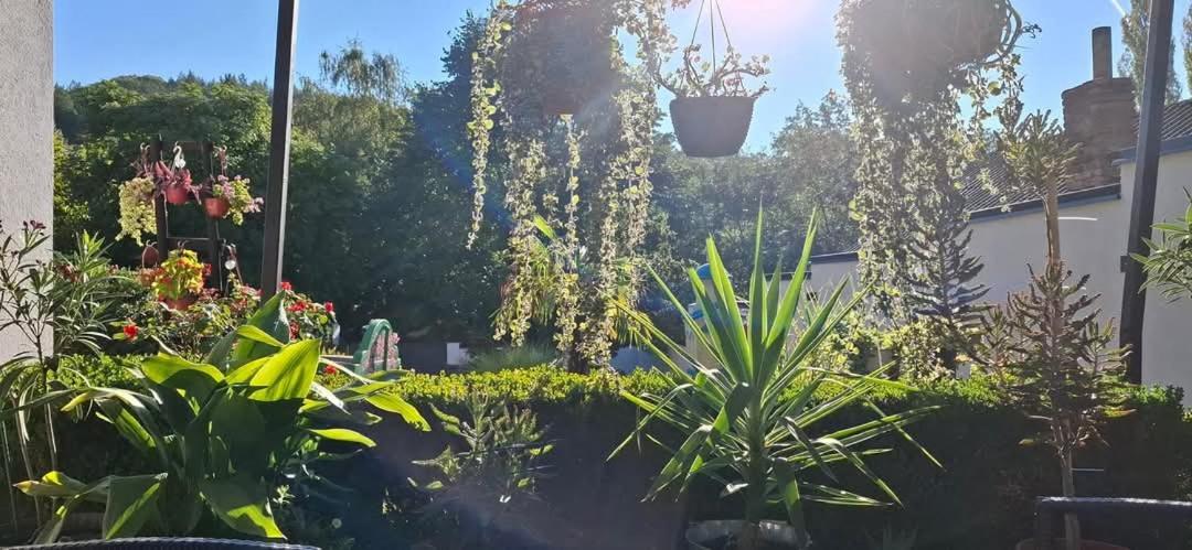 Vila Jovana Vrdnik Luaran gambar